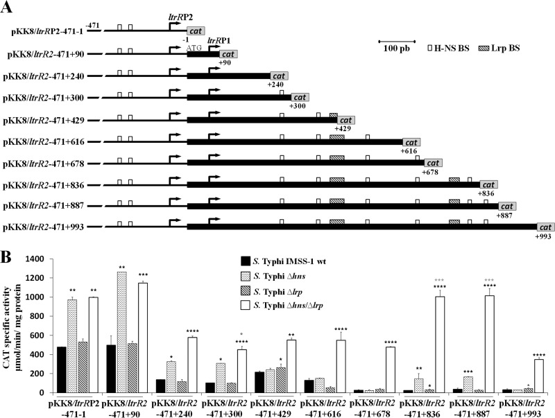 FIG 3