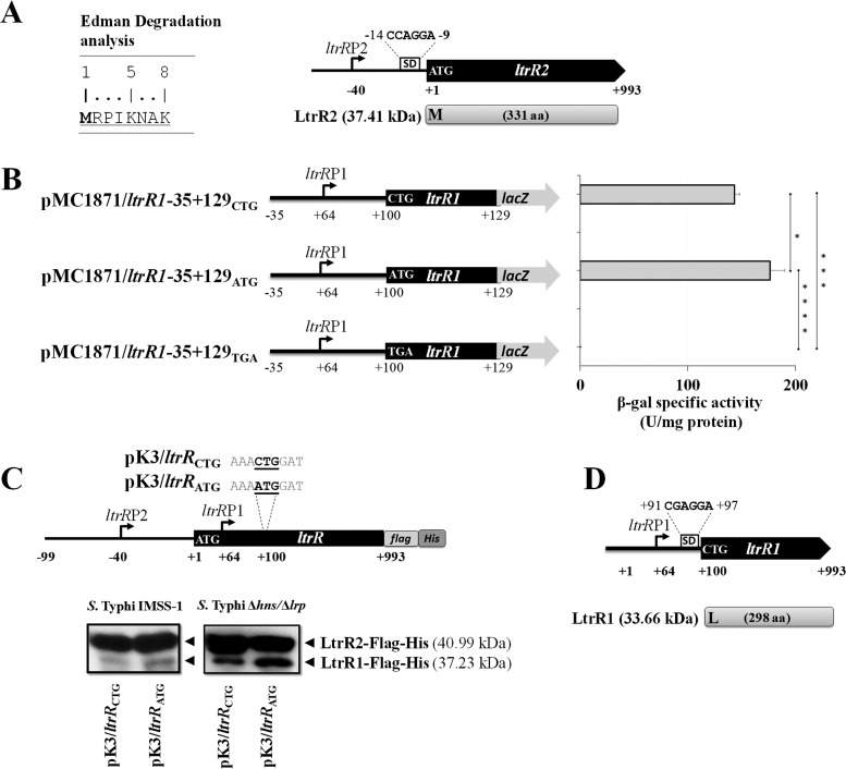 FIG 10