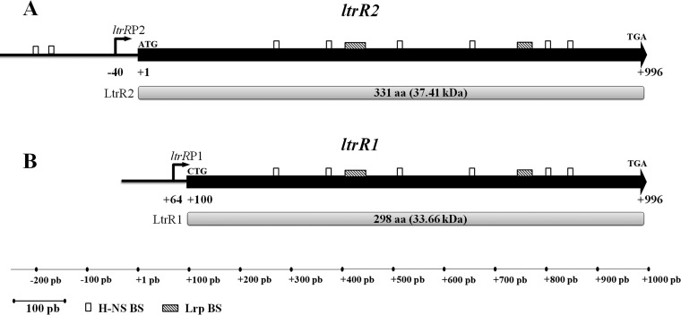 FIG 2