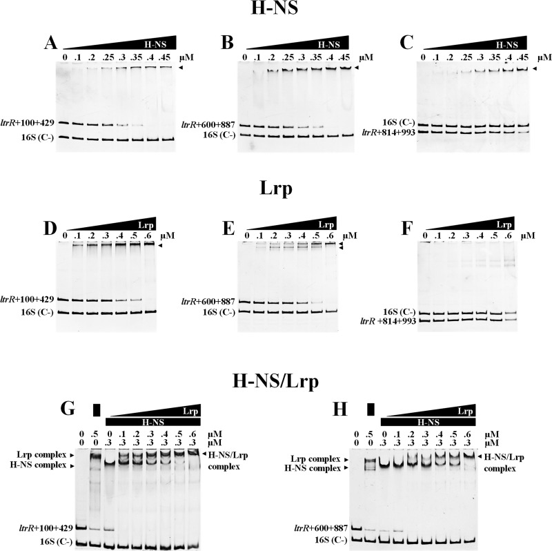 FIG 6