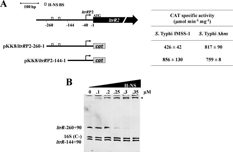 FIG 5