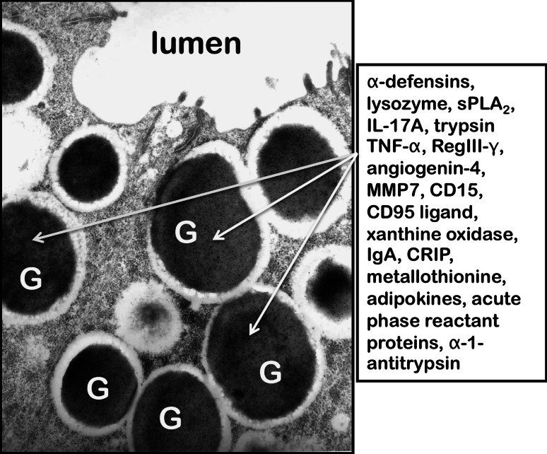 Fig. 2