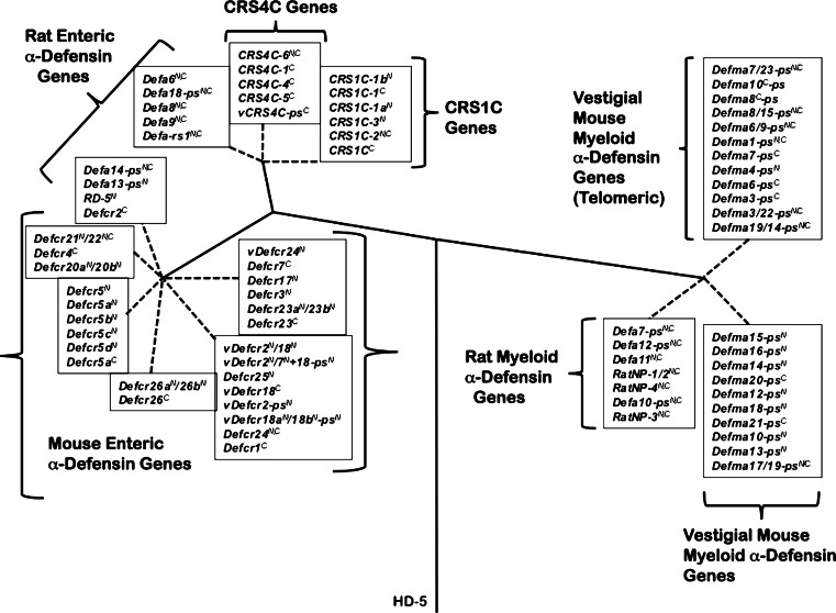 Fig. 7