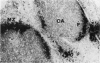 109