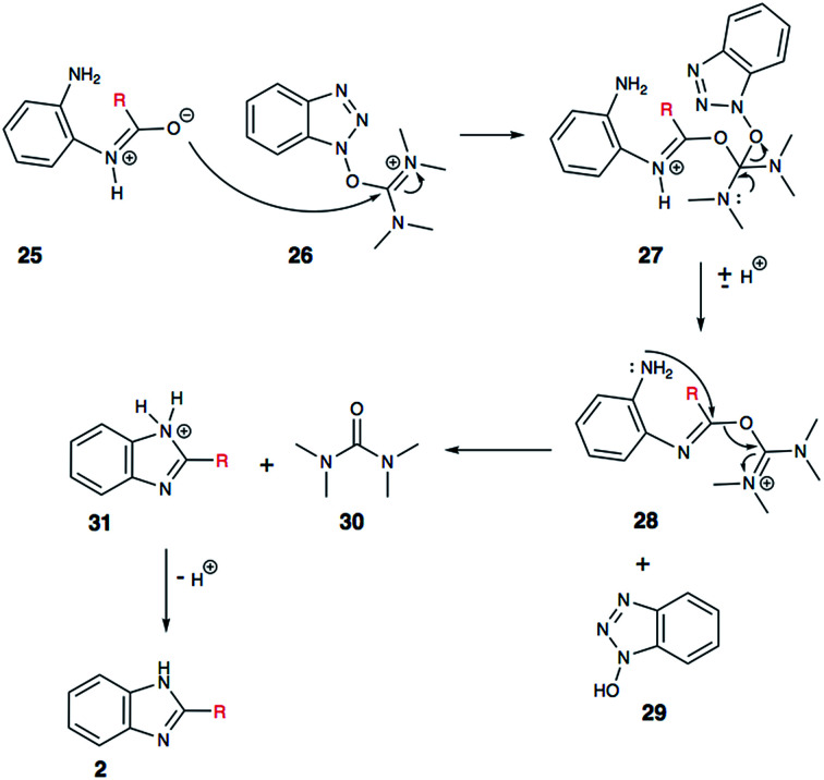 Scheme 6