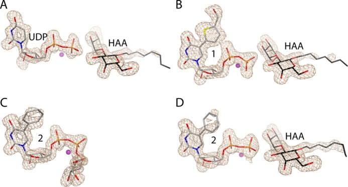 FIGURE 3.