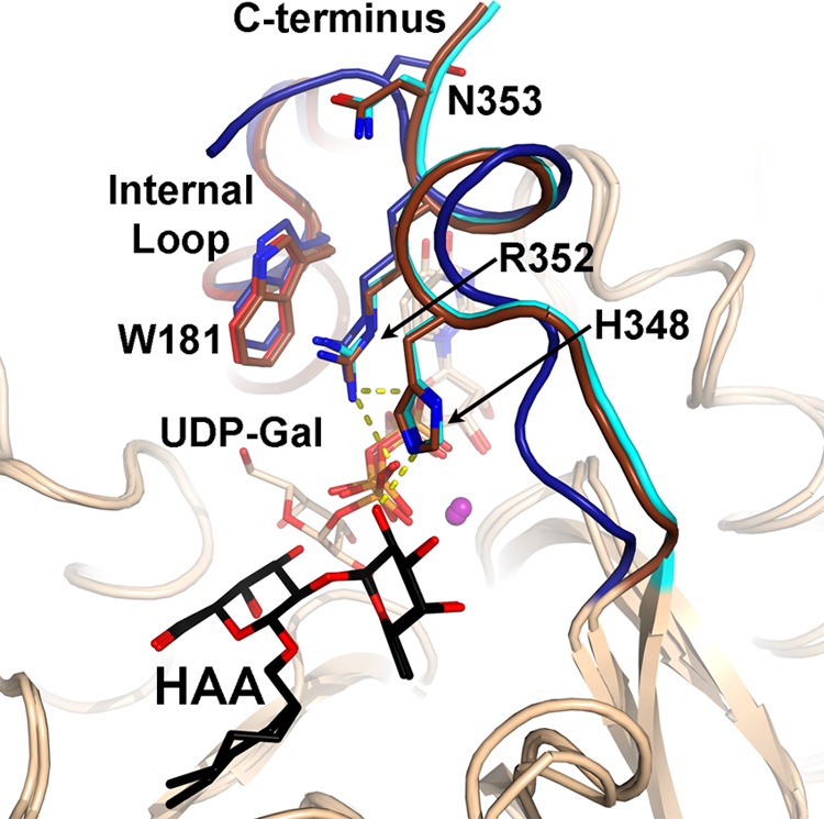 FIGURE 4.