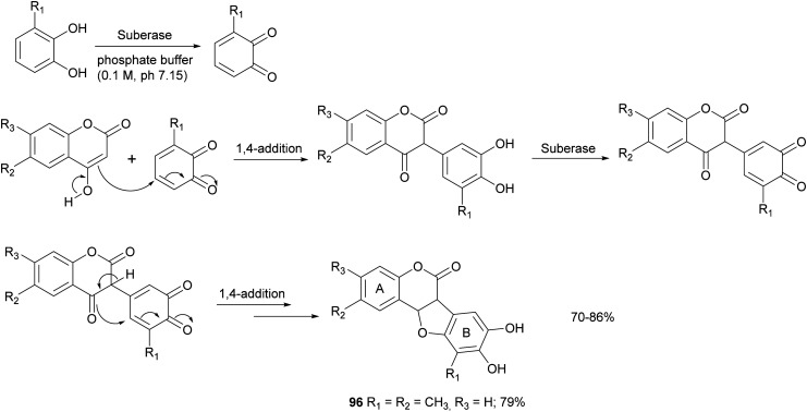 Scheme 18