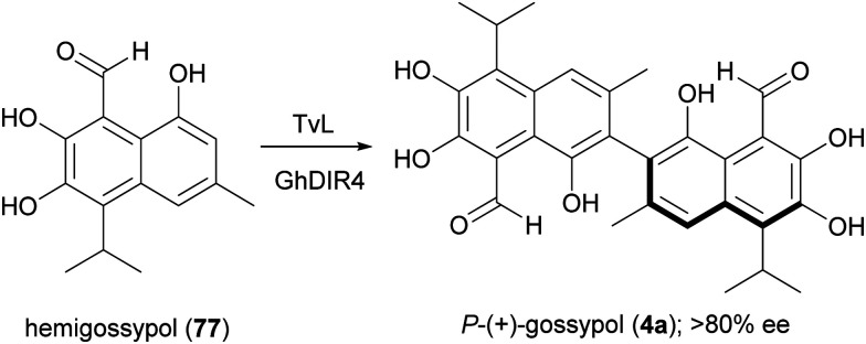 Scheme 16