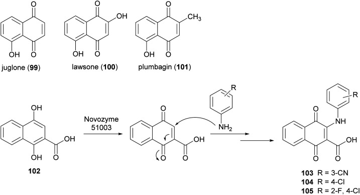 Scheme 20