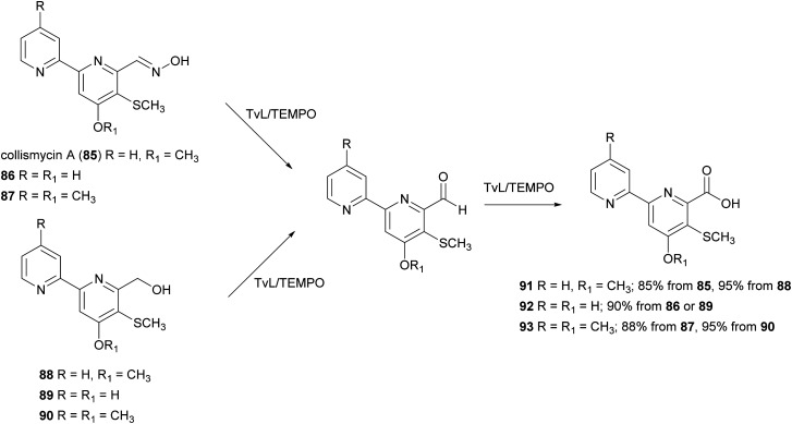 Scheme 17