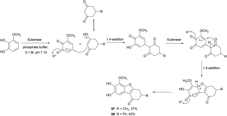 Scheme 19