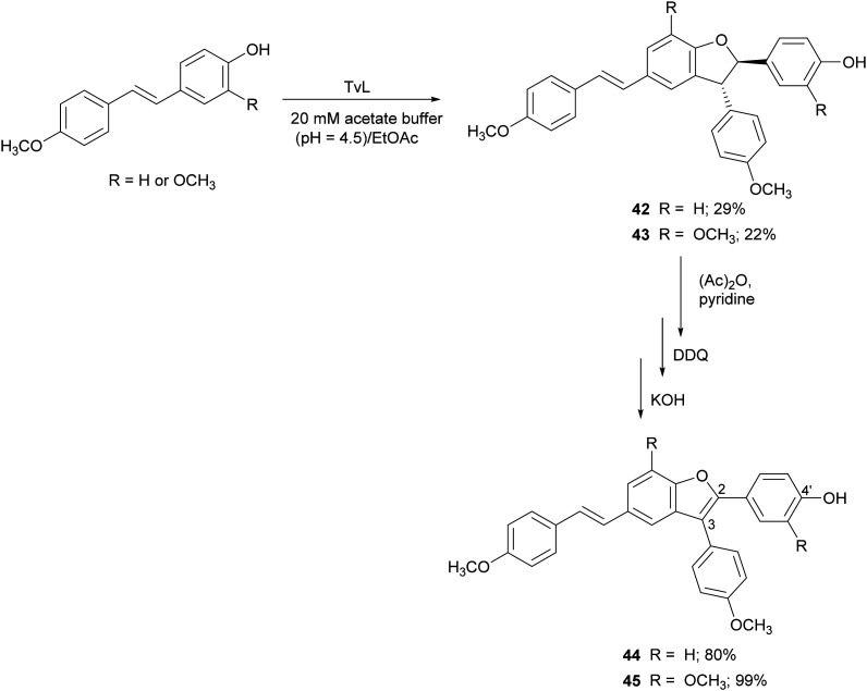 Scheme 10