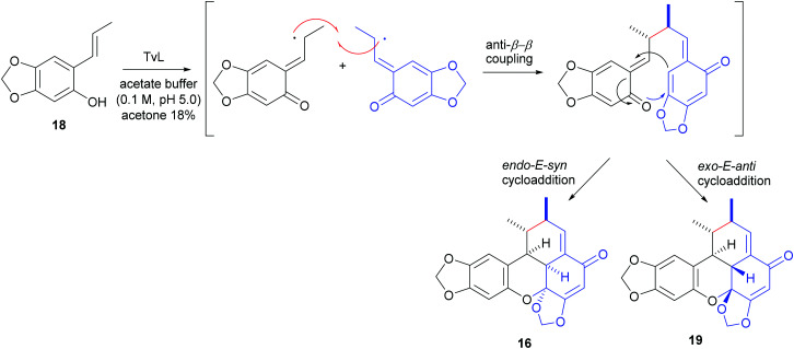 Scheme 7