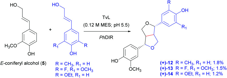 Scheme 6