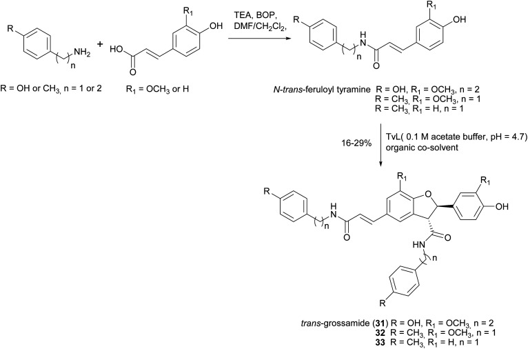 Scheme 8