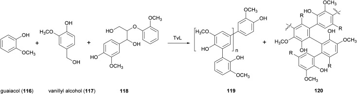 Scheme 22