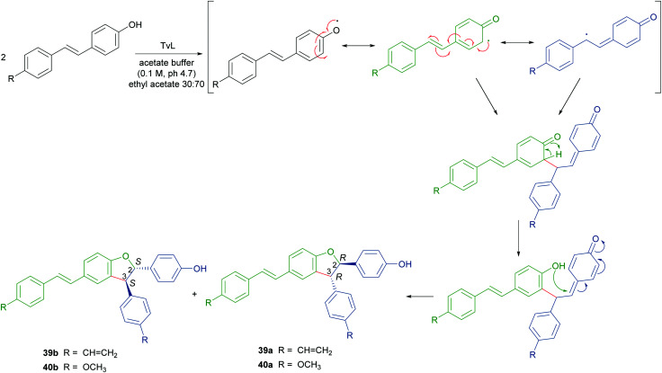 Scheme 9