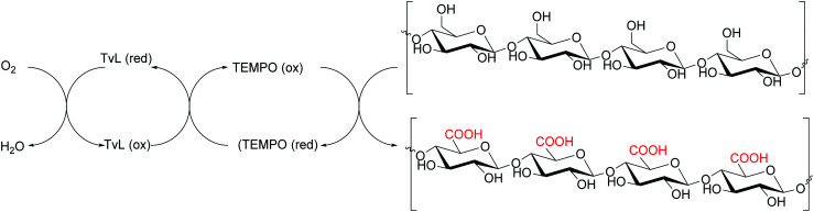 Scheme 23