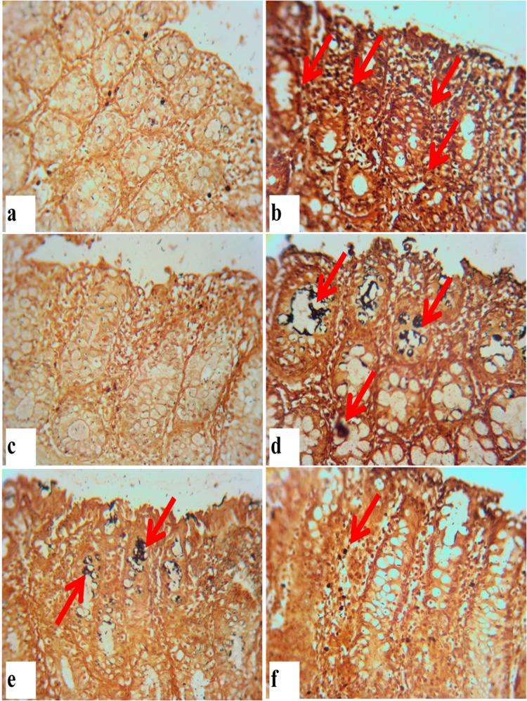 Fig. 5