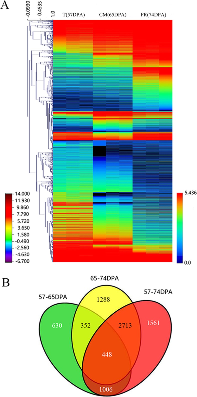 Fig. 3