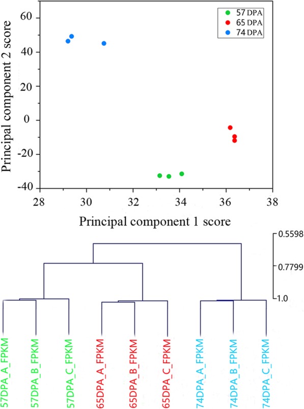 Fig. 2