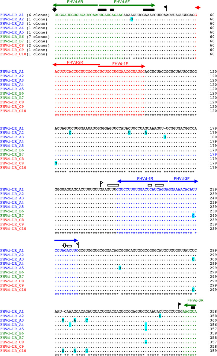 FIGURE 1