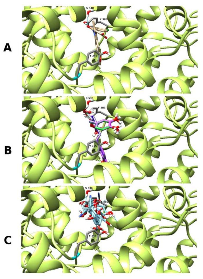 Figure 3