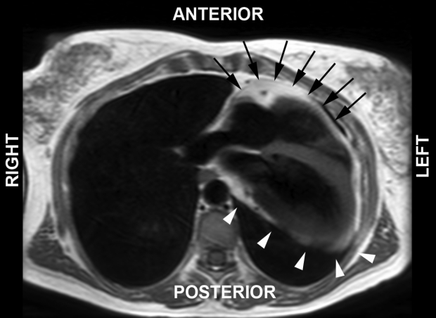 Figure 3)