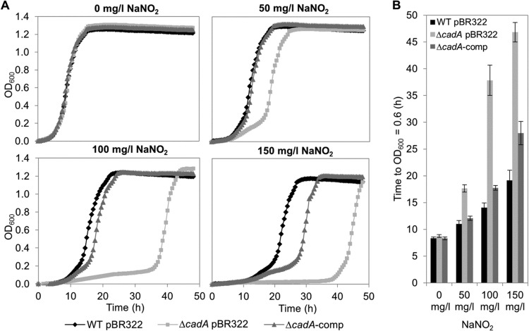 FIG 3