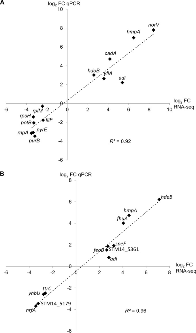 FIG 2