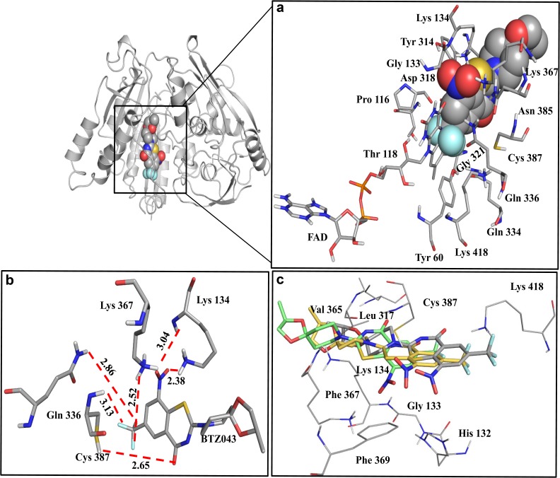 Fig 6