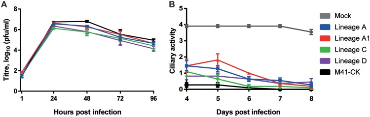 FIG 1