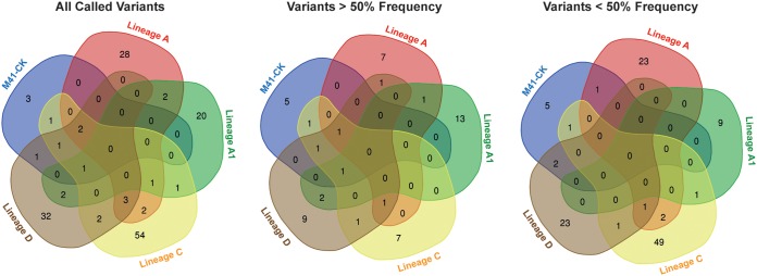 FIG 6