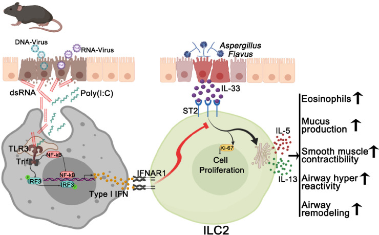 Fig 10