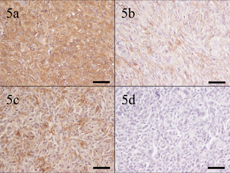 Fig. 5.