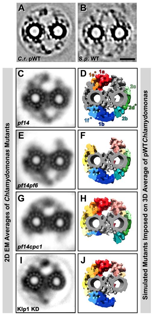 Fig. 7