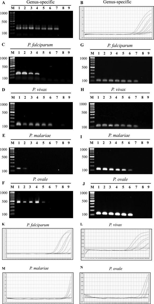 FIG 2