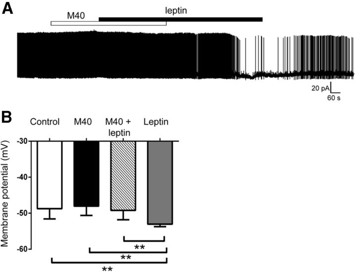 Figure 10.