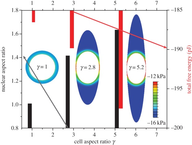 Figure 10.