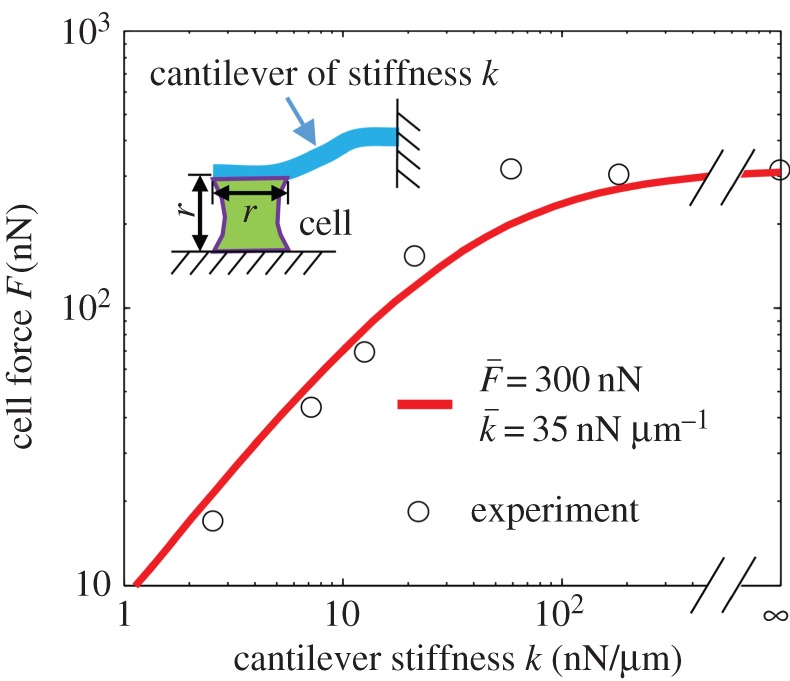 Figure 4.