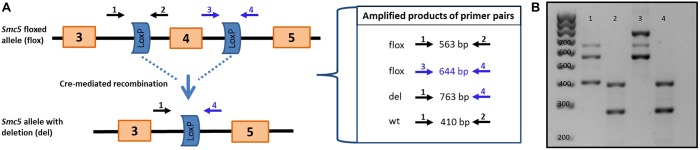 Fig. 2.