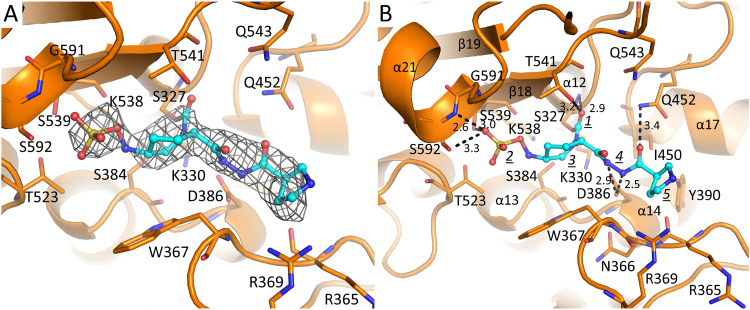 FIG 2