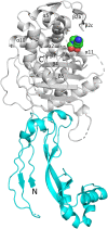 FIG 6