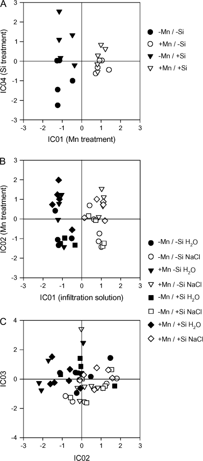 Fig. 8.