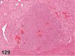 Figure 129.