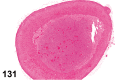 Figure 131.