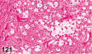 Figure 121.
