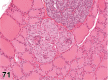 Figure 71.