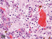 Figure 26.